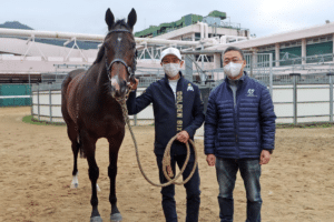 練馬師排名