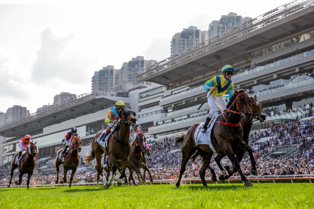 新馬集中評分,其實有原因