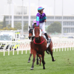 連贏三重彩貼士2026