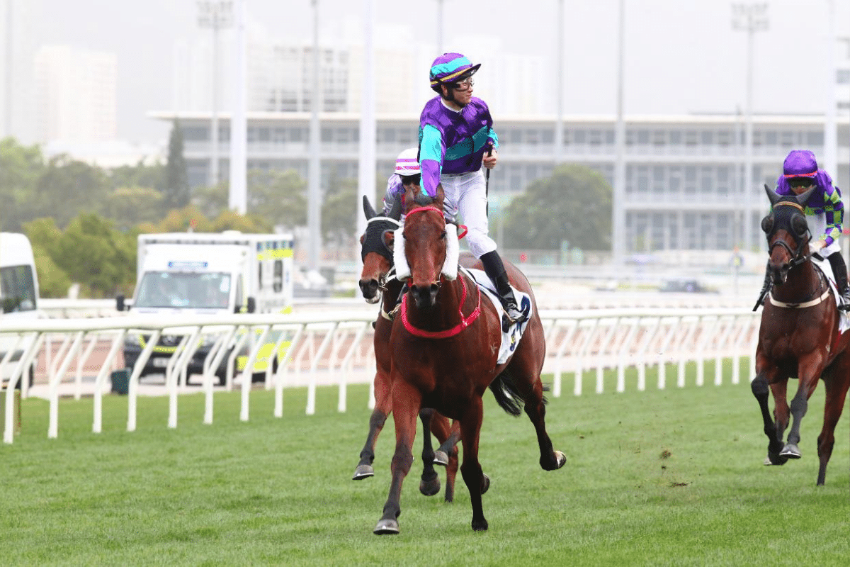 連贏三重彩貼士2026