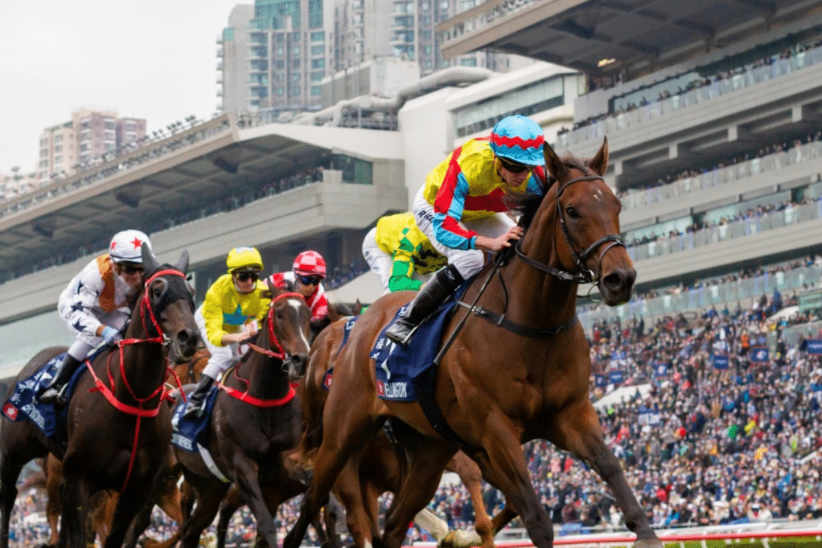香港賽馬全球排名