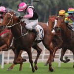 賽馬排位表教學