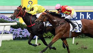 香港最安全賭場指南