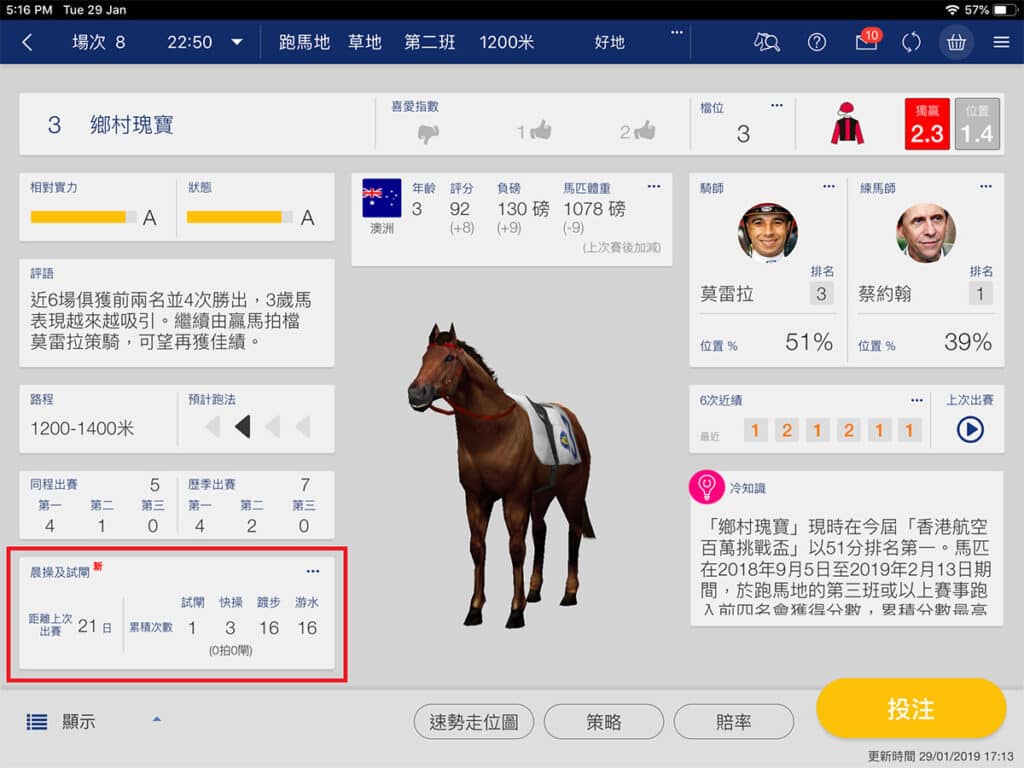 賽馬晨操片教學