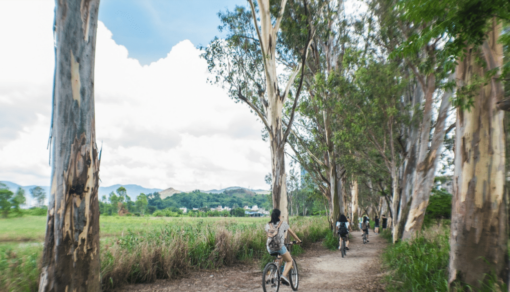週末長途單車路線合集