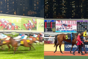 香港體育投注規則