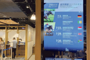 博彩風險管理