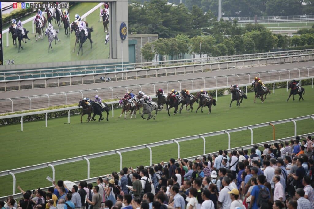 香港賽馬投注新手教學