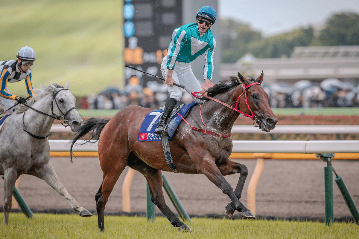 浪漫勇士退役