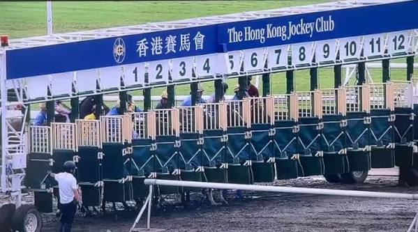 潘頓接手快樂神駒