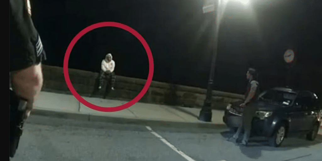 少年跳橋遭警殺懶人包