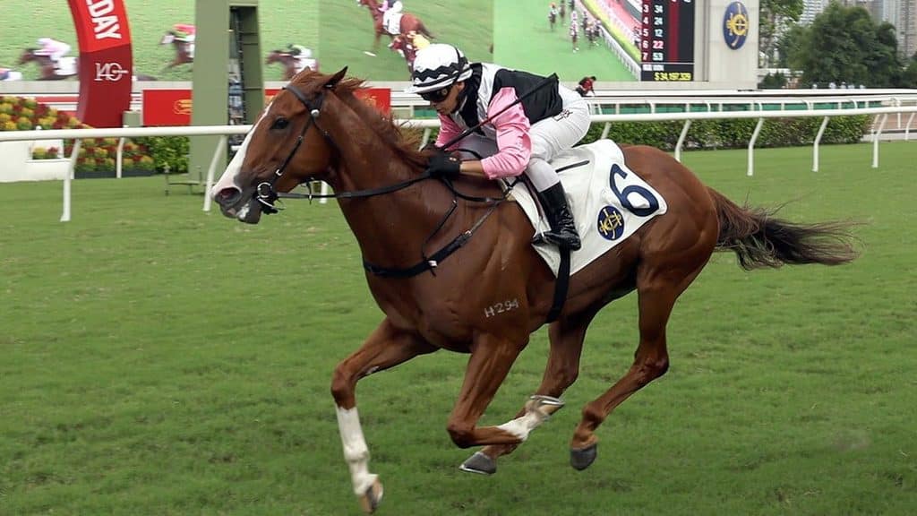 國慶賽馬日2026